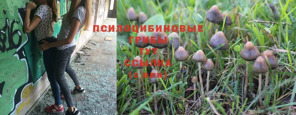 мет Снежинск