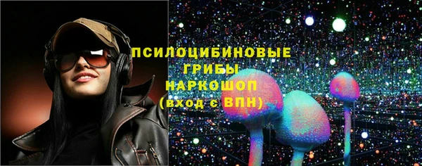 мяу мяу мука Снежногорск